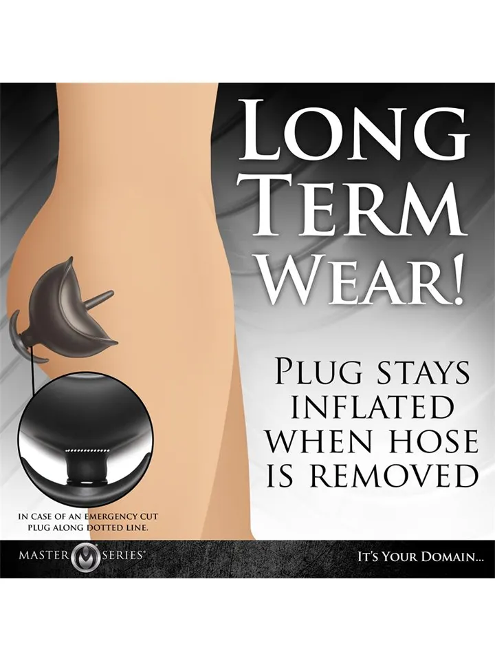 Ass Bound Anchor Inflatable Anal Plug - Inflatable anal plug 5 [full]