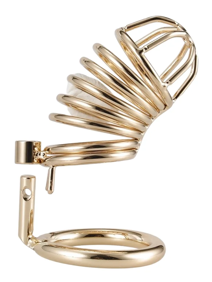 Cocklock Golden Bird Chastity Cage - Chastity cage 3 [full]