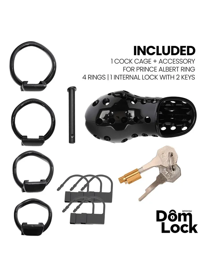 Convict Chastity Cage With Internal Lock - Penis cage 3 [full]