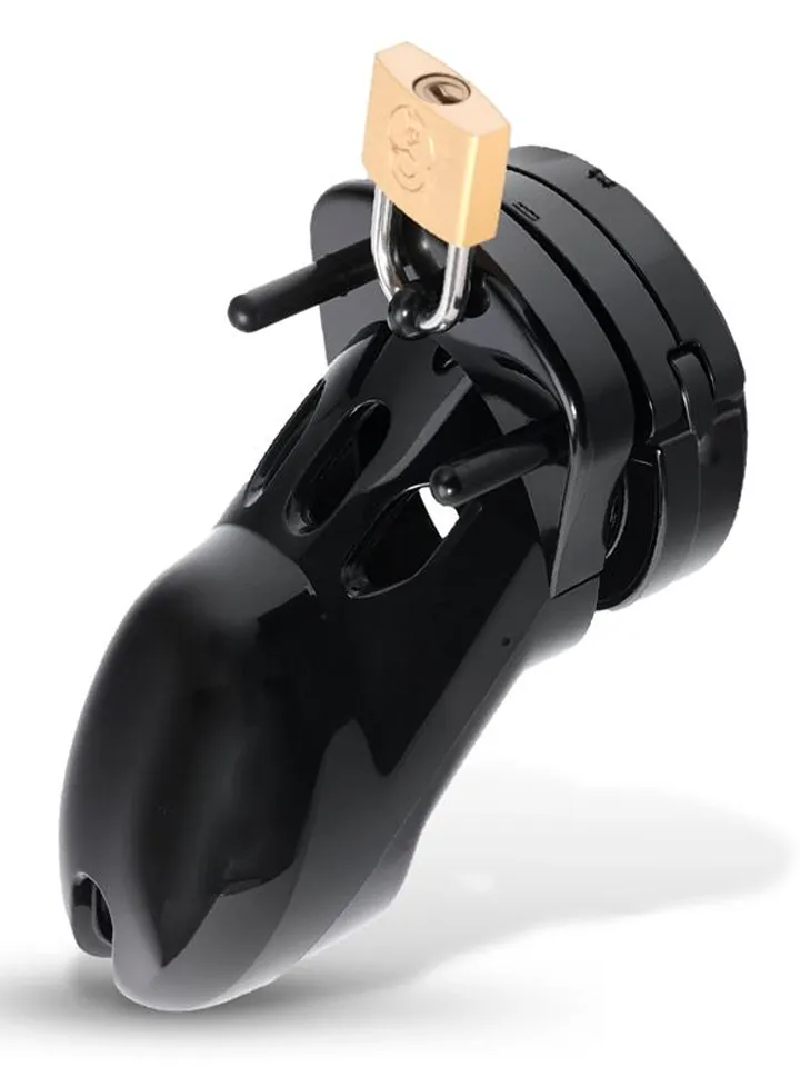 Custody Chastity Cage - Chastity cage 1 [full]