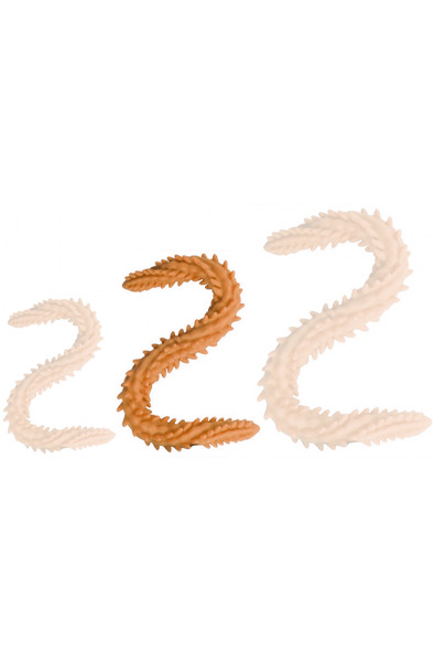 DoublePlayz Double Dildo Scolop Orange 50 cm - Extra long anal dildo 1