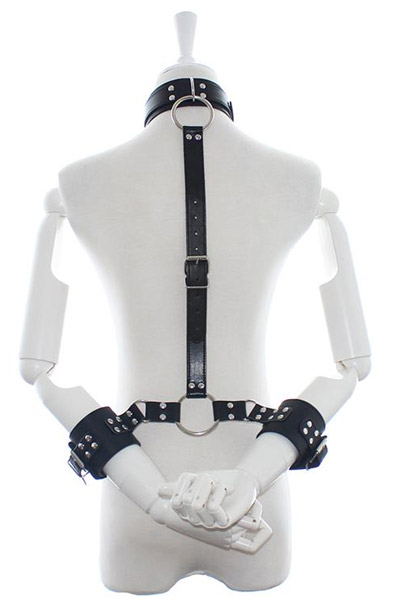 Fetish Addict Collar With Restraints Adjustable - Positionierungsmeister 2