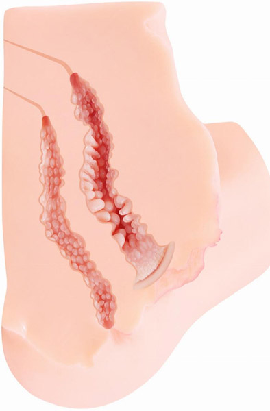 Kokos Onahole Masturbator 5,4 kg - Sex doll 3
