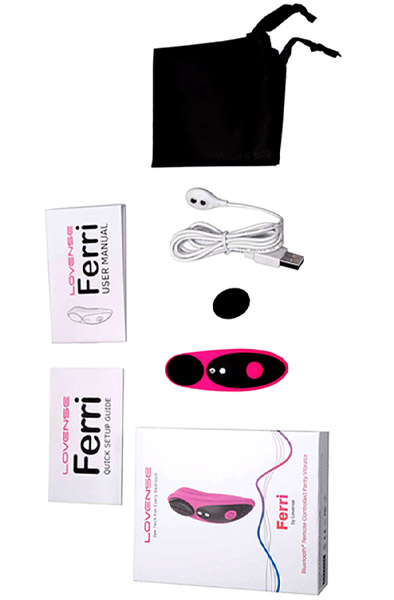 Lovense Ferri Remote Controlled Panty Vibrator - Vibrating panties 4