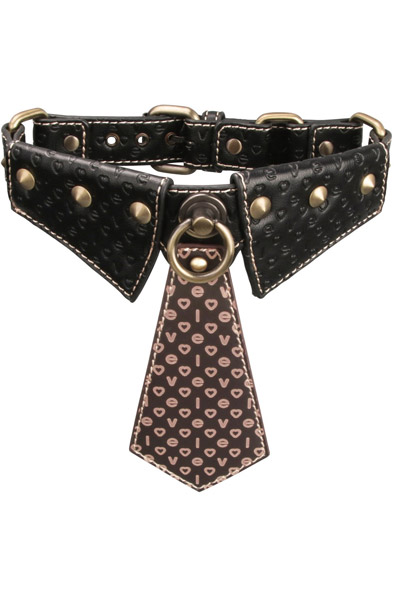 Lovetoy Rebellion Reign Collar With Chain - Halsband & Leine 2