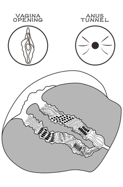 Lovetoy Streetgirl 13 Brown - Vagina masturbator 3