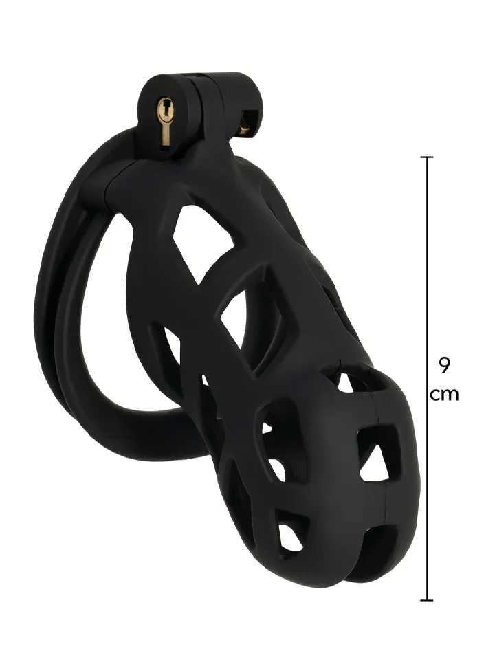 Penis Prison Cock Cage Long - Chastity cage 2 [full]