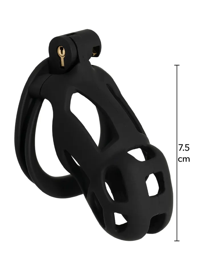 Penis Prison Cock Cage Regular - Chastity cage 2 [full]