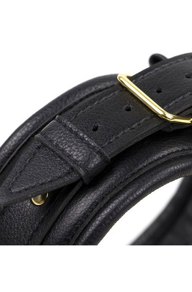 Premium Comfort Gold Collar - Collar & leash 2