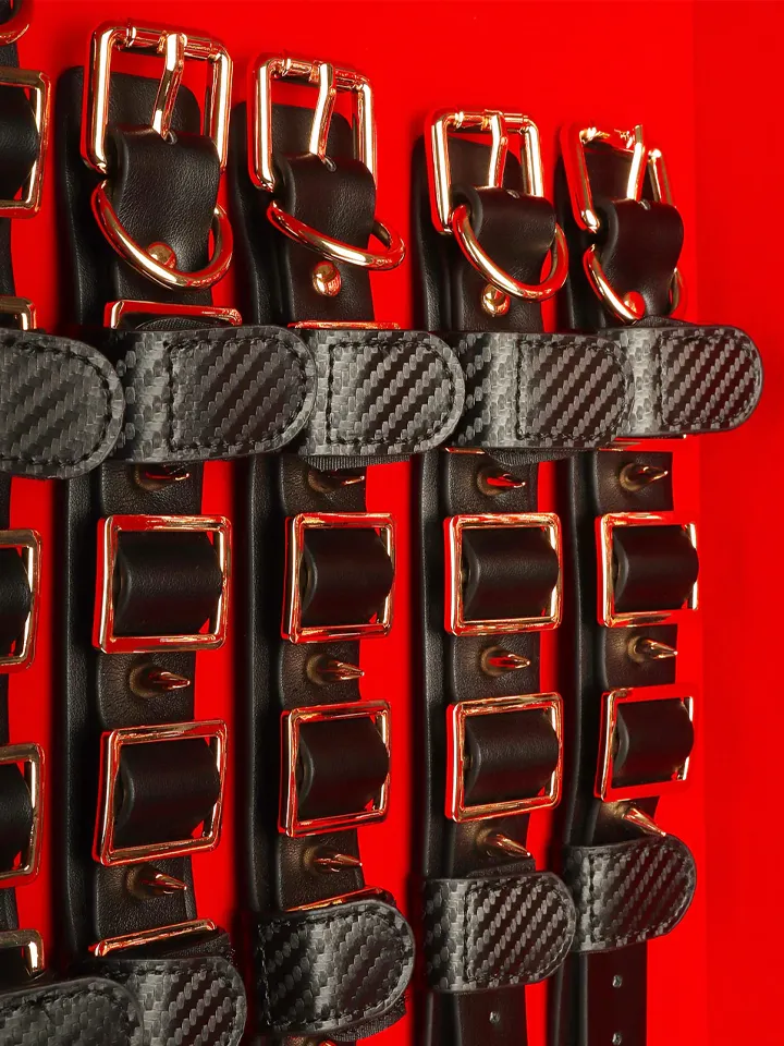 Taboom Desires Masterpiece Case - Bondage kit 4 [full]