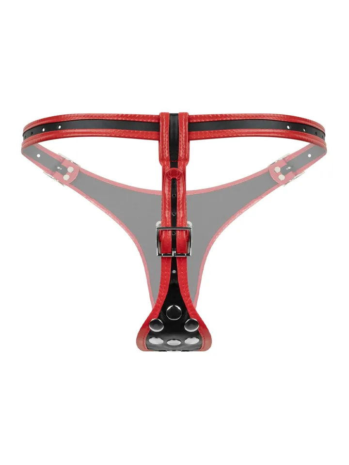Triple Dildo Strap-On Harness - Strap-on with harness 2 [full]