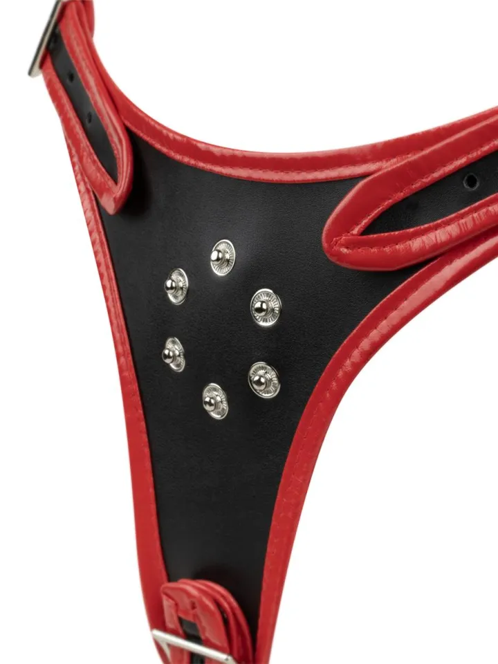 Triple Dildo Strap-On Harness - Strap-on with harness 3 [full]